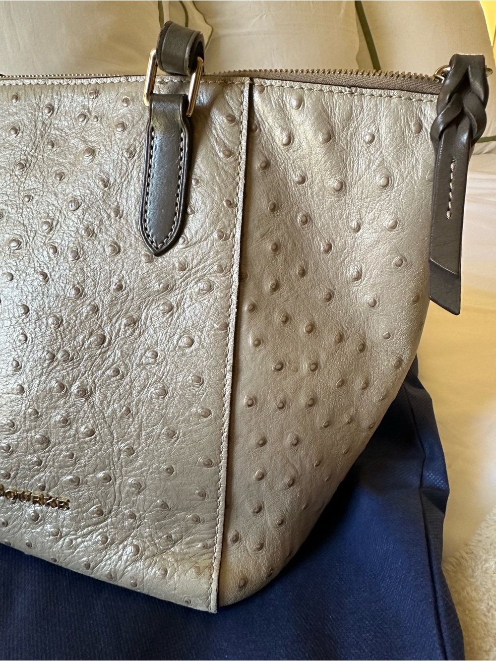 Dooney & Bourke Metallic Cream Ostrich-Embossed Tote with Wallet - Picture 7 of 13
